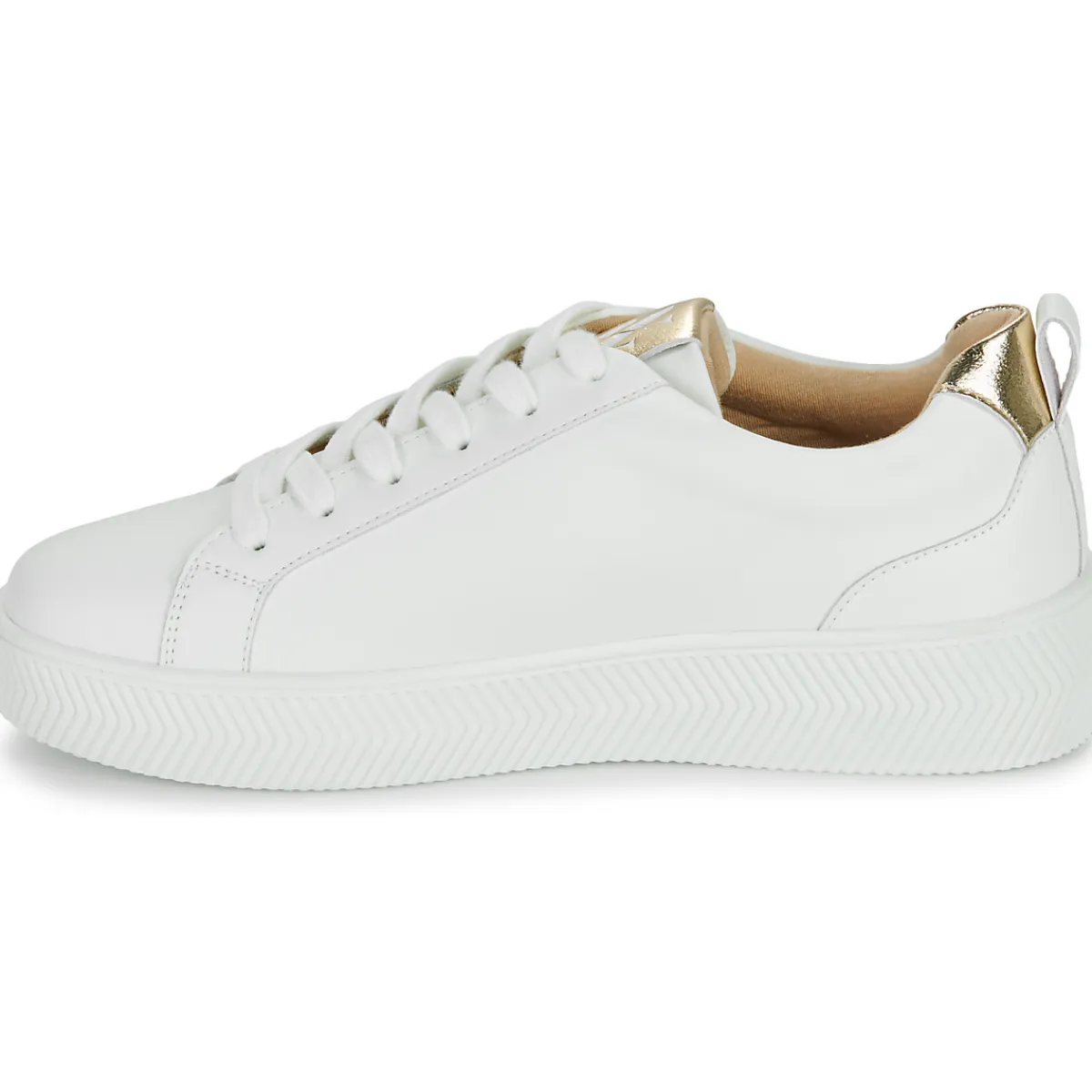 New Vanessa Wu - TANIA