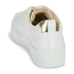 New Vanessa Wu - TANIA