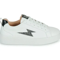 New Vanessa Wu - TANIA