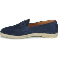 Hot Verbenas - Kenia Serraje Marine