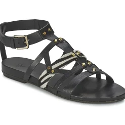 Clearance Vic - GINKO ACHANTUS Noir