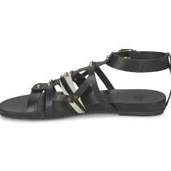 Clearance Vic - GINKO ACHANTUS Noir