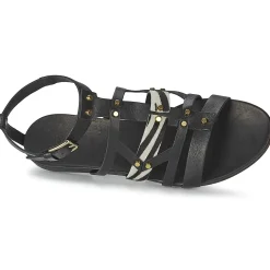 Clearance Vic - GINKO ACHANTUS Noir