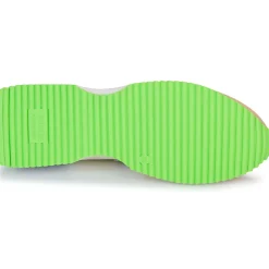 Best Victoria - COSMOS SERRAJE MULTICOLOR Multicolore