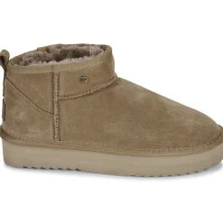 Hot Warmbat - DURACK Marron