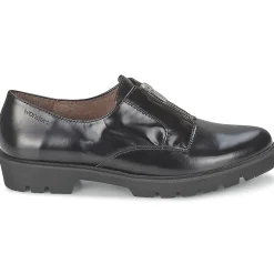 Best Wonders - CAMMA Noir