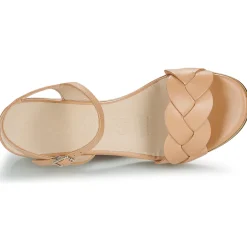 Best Wonders - D-8830 Beige