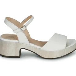 Wonders - D-8802-WILD Blanc