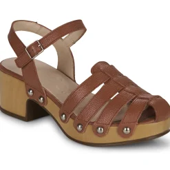 Clearance Wonders - D-9501-WILD Marron