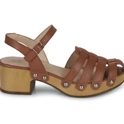 Clearance Wonders - D-9501-WILD Marron