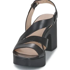 Hot Wonders - L-1011 PERGAMENA Noir