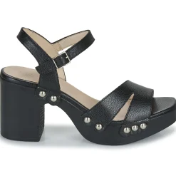 Clearance Wonders - L-1016-WILD Noir