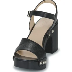 Clearance Wonders - L-1016-WILD Noir