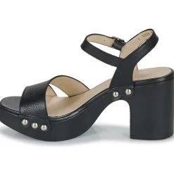 Clearance Wonders - L-1016-WILD Noir