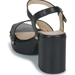 Clearance Wonders - L-1016-WILD Noir