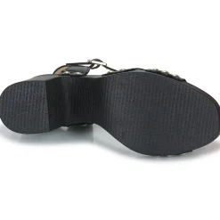 Clearance Wonders - L-1016-WILD Noir