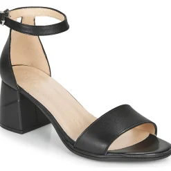 New Wonders - NATURE Noir