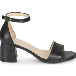 New Wonders - NATURE Noir