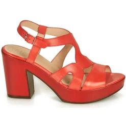 New Wonders - PAROTI Rouge