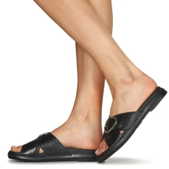 Hot Wonders - PIOUT Noir