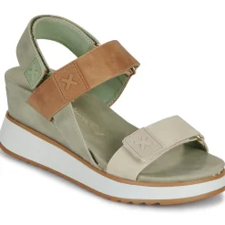 Hot Xti - 143848 Kaki