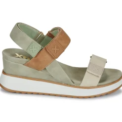 Hot Xti - 143848 Kaki