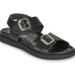 Clearance YOKONO - BARI Noir