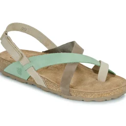 Discount YOKONO - JERBA