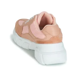 Hot Yurban - JILIBELLE Rose